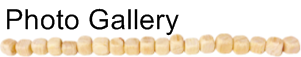 PhotoGallery